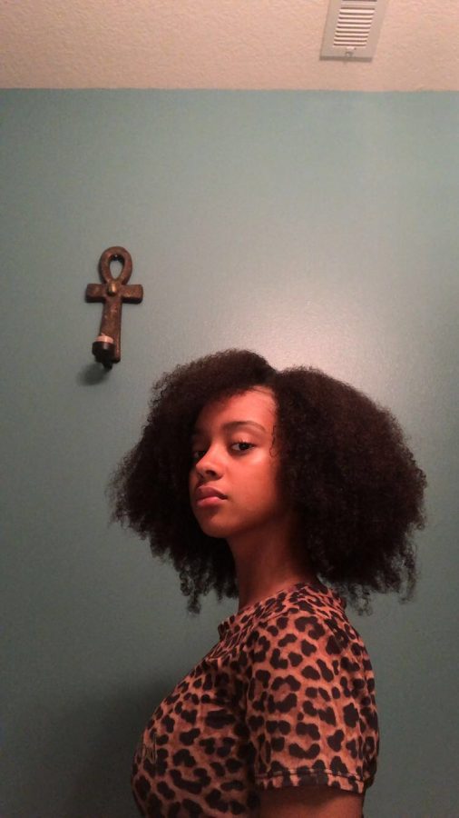 Arabia Parkey