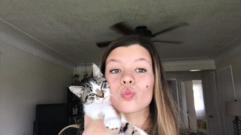 Rylie Meyer